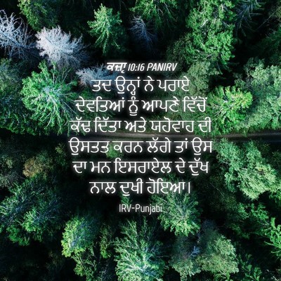 Picture 04 - ਕਜ਼ਾૃ 10:16 PANIRV - ਤਦ ਉਨ੍ਹਾਂ ਨੇ ਪਰਾਏ - Bible Verse Picture