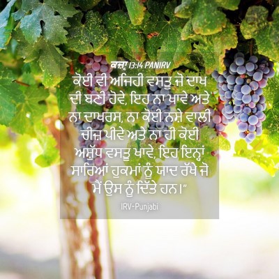 Picture 04 - ਕਜ਼ਾૃ 13:14 PANIRV - ਕੋਈ ਵੀ ਅਜਿਹੀ ਵਸਤੂ - Bible Verse Picture