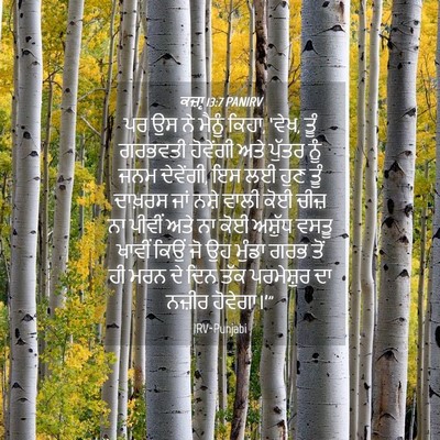 Picture 04 - ਕਜ਼ਾૃ 13:7 PANIRV - ਪਰ ਉਸ ਨੇ ਮੈਨੂੰ - Bible Verse Picture