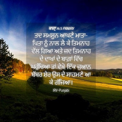 Picture 04 - ਕਜ਼ਾૃ 14:5 PANIRV - ਤਦ ਸਮਸੂਨ ਆਪਣੇ - Bible Verse Picture