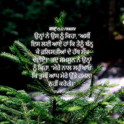 Picture 04 - ਕਜ਼ਾૃ 15:12 PANIRV - ਉਨ੍ਹਾਂ ਨੇ ਉਸ ਨੂੰ - Bible Verse Picture