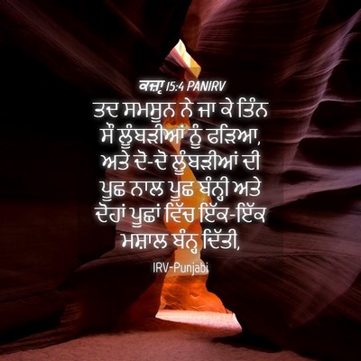 Picture 04 - ਕਜ਼ਾૃ 15:4 PANIRV - ਤਦ ਸਮਸੂਨ ਨੇ ਜਾ ਕੇ - Bible Verse Picture
