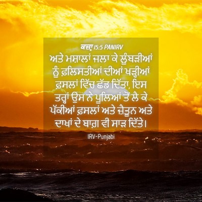 Picture 04 - ਕਜ਼ਾૃ 15:5 PANIRV - ਅਤੇ ਮਸ਼ਾਲਾਂ ਜਲਾ ਕੇ - Bible Verse Picture