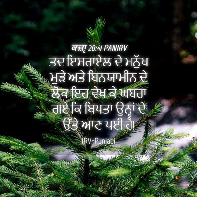 Picture 04 - ਕਜ਼ਾૃ 20:41 PANIRV - ਤਦ ਇਸਰਾਏਲ ਦੇ ਮਨੁੱਖ - Bible Verse Picture