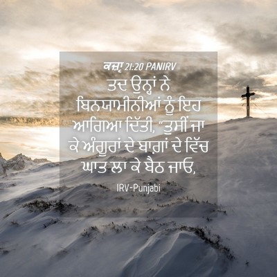 Picture 04 - ਕਜ਼ਾૃ 21:20 PANIRV - ਤਦ ਉਨ੍ਹਾਂ ਨੇ - Bible Verse Picture