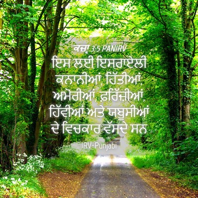 Picture 04 - ਕਜ਼ਾૃ 3:5 PANIRV - ਇਸ ਲਈ ਇਸਰਾਏਲੀ - Bible Verse Picture