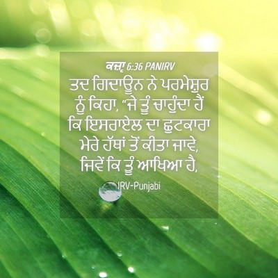 Picture 04 - ਕਜ਼ਾૃ 6:36 PANIRV - ਤਦ ਗਿਦਾਊਨ ਨੇ - Bible Verse Picture