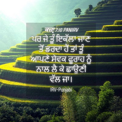 Picture 04 - ਕਜ਼ਾૃ 7:10 PANIRV - ਪਰ ਜੇ ਤੂੰ ਇਕੱਲਾ ਜਾਣ - Bible Verse Picture
