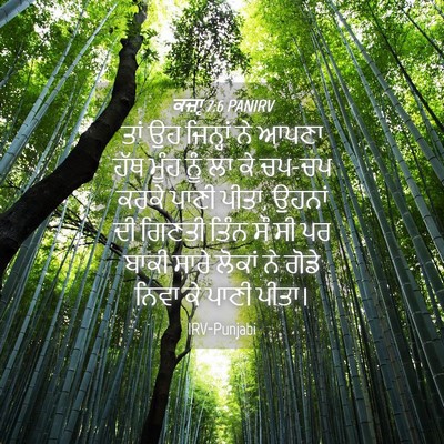 Picture 04 - ਕਜ਼ਾૃ 7:6 PANIRV - ਤਾਂ ਉਹ ਜਿਨ੍ਹਾਂ ਨੇ - Bible Verse Picture