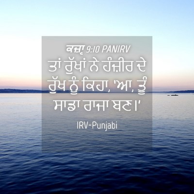 Picture 04 - ਕਜ਼ਾૃ 9:10 PANIRV - ਤਾਂ ਰੁੱਖਾਂ ਨੇ - Bible Verse Picture