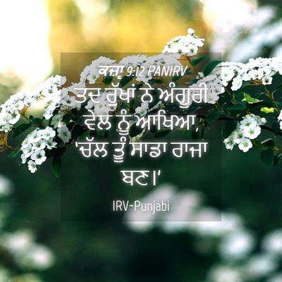 Picture 04 - ਕਜ਼ਾૃ 9:12 PANIRV - ਤਦ ਰੁੱਖਾਂ ਨੇ - Bible Verse Picture