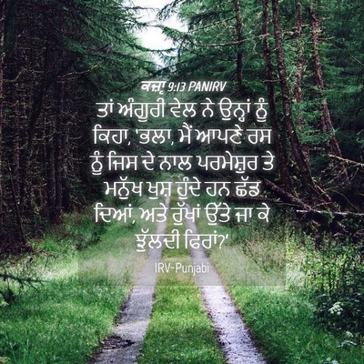 Picture 04 - ਕਜ਼ਾૃ 9:13 PANIRV - ਤਾਂ ਅੰਗੂਰੀ ਵੇਲ ਨੇ - Bible Verse Picture