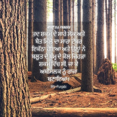 Picture 04 - ਕਜ਼ਾૃ 9:6 PANIRV - ਤਦ ਸ਼ਕਮ ਦੇ ਸਾਰੇ ਲੋਕ - Bible Verse Picture