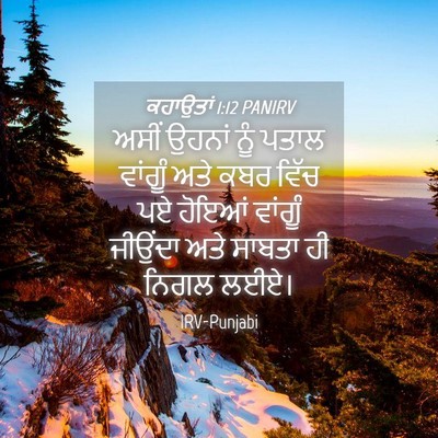 Picture 04 - ਕਹਾਉਤਾਂ 1:12 PANIRV - ਅਸੀਂ ਉਹਨਾਂ ਨੂੰ - Bible Verse Picture