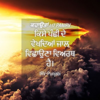 Picture 04 - ਕਹਾਉਤਾਂ 1:17 PANIRV - ਕਿਸੇ ਪੰਛੀ ਦੇ - Bible Verse Picture