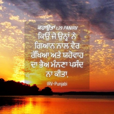 Picture 04 - ਕਹਾਉਤਾਂ 1:29 PANIRV - ਕਿਉਂ ਜੋ ਉਨ੍ਹਾਂ ਨੇ - Bible Verse Picture