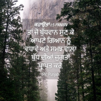Picture 04 - ਕਹਾਉਤਾਂ 1:5 PANIRV - ਤਾਂ ਜੋ ਬੁੱਧਵਾਨ ਸੁਣ - Bible Verse Picture