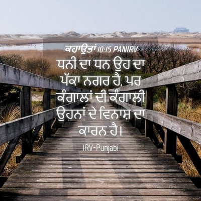 Picture 04 - ਕਹਾਉਤਾਂ 10:15 PANIRV - ਧਨੀ ਦਾ ਧਨ ਉਹ ਦਾ - Bible Verse Picture