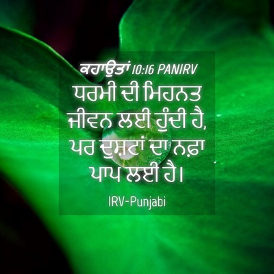 Picture 04 - ਕਹਾਉਤਾਂ 10:16 PANIRV - ਧਰਮੀ ਦੀ ਮਿਹਨਤ ਜੀਵਨ - Bible Verse Picture