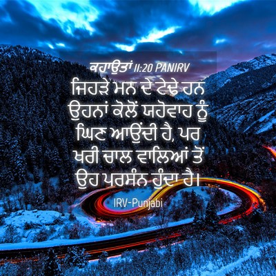 Picture 04 - ਕਹਾਉਤਾਂ 11:20 PANIRV - ਜਿਹੜੇ ਮਨ ਦੇ ਟੇਢੇ ਹਨ - Bible Verse Picture