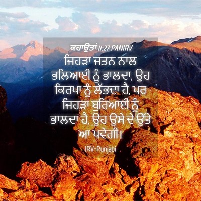 Picture 04 - ਕਹਾਉਤਾਂ 11:27 PANIRV - ਜਿਹੜਾ ਜਤਨ ਨਾਲ - Bible Verse Picture