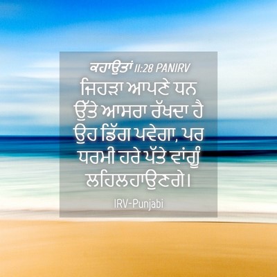 Picture 04 - ਕਹਾਉਤਾਂ 11:28 PANIRV - ਜਿਹੜਾ ਆਪਣੇ ਧਨ ਉੱਤੇ - Bible Verse Picture