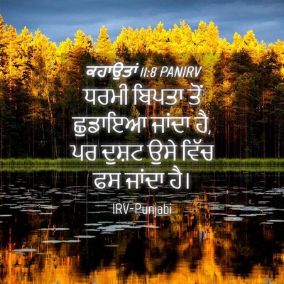 Picture 04 - ਕਹਾਉਤਾਂ 11:8 PANIRV - ਧਰਮੀ ਬਿਪਤਾ ਤੋਂ - Bible Verse Picture