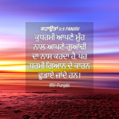 Picture 04 - ਕਹਾਉਤਾਂ 11:9 PANIRV - ਕੁਧਰਮੀ ਆਪਣੇ ਮੂੰਹ - Bible Verse Picture