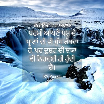 Picture 04 - ਕਹਾਉਤਾਂ 12:10 PANIRV - ਧਰਮੀ ਆਪਣੇ ਪਸ਼ੂ ਦੇ - Bible Verse Picture