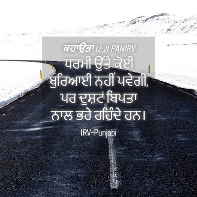 Picture 04 - ਕਹਾਉਤਾਂ 12:21 PANIRV - ਧਰਮੀ ਉੱਤੇ ਕੋਈ - Bible Verse Picture