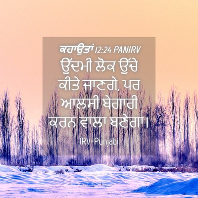 Picture 04 - ਕਹਾਉਤਾਂ 12:24 PANIRV - ਉੱਦਮੀ ਲੋਕ ਉੱਚੇ - Bible Verse Picture