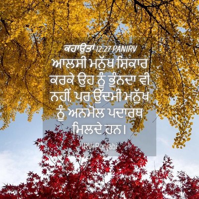 Picture 04 - ਕਹਾਉਤਾਂ 12:27 PANIRV - ਆਲਸੀ ਮਨੁੱਖ ਸ਼ਿਕਾਰ - Bible Verse Picture