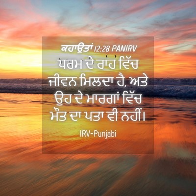Picture 04 - ਕਹਾਉਤਾਂ 12:28 PANIRV - ਧਰਮ ਦੇ ਰਾਹ ਵਿੱਚ - Bible Verse Picture