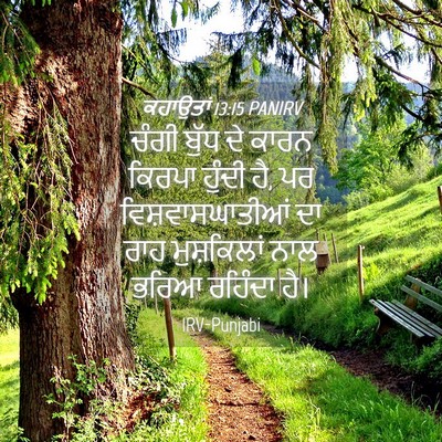 Picture 04 - ਕਹਾਉਤਾਂ 13:15 PANIRV - ਚੰਗੀ ਬੁੱਧ ਦੇ ਕਾਰਨ - Bible Verse Picture