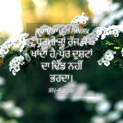Picture 04 - ਕਹਾਉਤਾਂ 13:25 PANIRV - ਧਰਮੀ ਤਾਂ ਰੱਜ ਕੇ - Bible Verse Picture