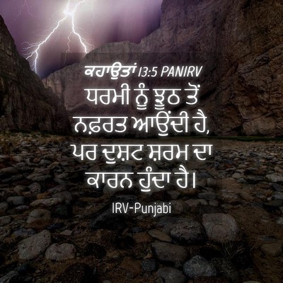 Picture 04 - ਕਹਾਉਤਾਂ 13:5 PANIRV - ਧਰਮੀ ਨੂੰ ਝੂਠ ਤੋਂ - Bible Verse Picture