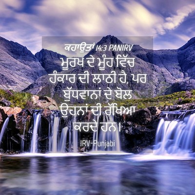 Picture 04 - ਕਹਾਉਤਾਂ 14:3 PANIRV - ਮੂਰਖ ਦੇ ਮੂੰਹ ਵਿੱਚ - Bible Verse Picture