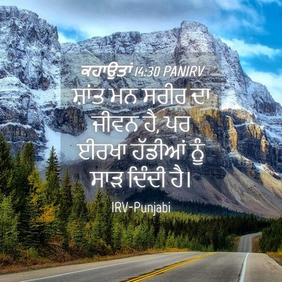 Picture 04 - ਕਹਾਉਤਾਂ 14:30 PANIRV - ਸ਼ਾਂਤ ਮਨ ਸਰੀਰ ਦਾ - Bible Verse Picture