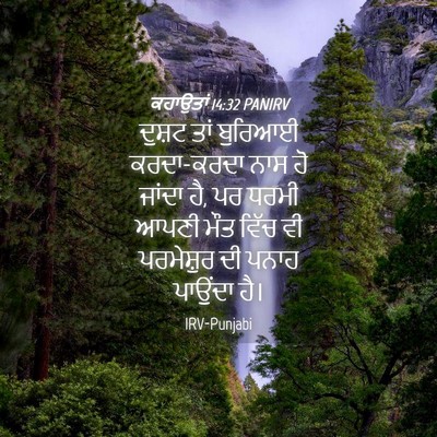 Picture 04 - ਕਹਾਉਤਾਂ 14:32 PANIRV - ਦੁਸ਼ਟ ਤਾਂ ਬੁਰਿਆਈ - Bible Verse Picture