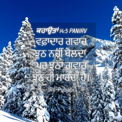 Picture 04 - ਕਹਾਉਤਾਂ 14:5 PANIRV - ਵਫ਼ਾਦਾਰ ਗਵਾਹ ਝੂਠ - Bible Verse Picture