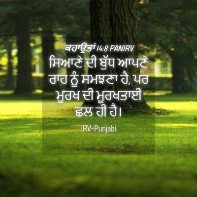 Picture 04 - ਕਹਾਉਤਾਂ 14:8 PANIRV - ਸਿਆਣੇ ਦੀ ਬੁੱਧ ਆਪਣੇ - Bible Verse Picture