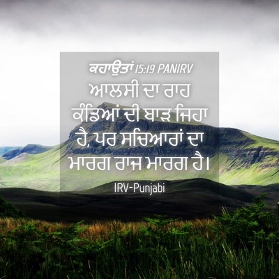Picture 04 - ਕਹਾਉਤਾਂ 15:19 PANIRV - ਆਲਸੀ ਦਾ ਰਾਹ ਕੰਡਿਆਂ - Bible Verse Picture