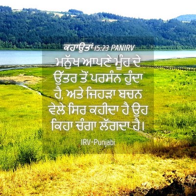 Picture 04 - ਕਹਾਉਤਾਂ 15:23 PANIRV - ਮਨੁੱਖ ਆਪਣੇ ਮੂੰਹ ਦੇ - Bible Verse Picture