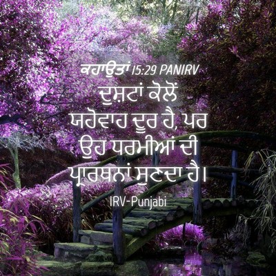 Picture 04 - ਕਹਾਉਤਾਂ 15:29 PANIRV - ਦੁਸ਼ਟਾਂ ਕੋਲੋਂ - Bible Verse Picture