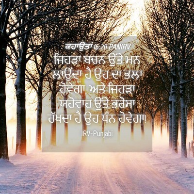 Picture 04 - ਕਹਾਉਤਾਂ 16:20 PANIRV - ਜਿਹੜਾ ਬਚਨ ਉੱਤੇ ਮਨ - Bible Verse Picture