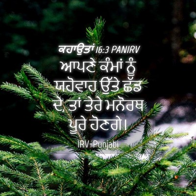 Picture 04 - ਕਹਾਉਤਾਂ 16:3 PANIRV - ਆਪਣੇ ਕੰਮਾਂ ਨੂੰ - Bible Verse Picture
