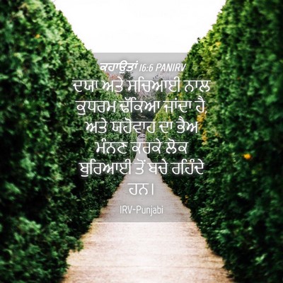 Picture 04 - ਕਹਾਉਤਾਂ 16:6 PANIRV - ਦਯਾ ਅਤੇ ਸਚਿਆਈ ਨਾਲ - Bible Verse Picture