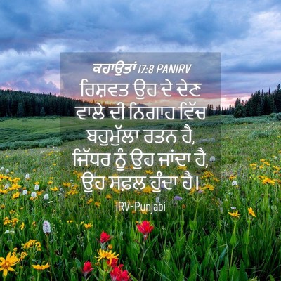 Picture 04 - ਕਹਾਉਤਾਂ 17:8 PANIRV - ਰਿਸ਼ਵਤ ਉਹ ਦੇ ਦੇਣ - Bible Verse Picture