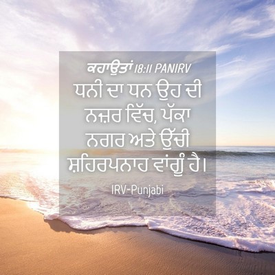 Picture 04 - ਕਹਾਉਤਾਂ 18:11 PANIRV - ਧਨੀ ਦਾ ਧਨ ਉਹ ਦੀ - Bible Verse Picture