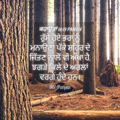 Picture 04 - ਕਹਾਉਤਾਂ 18:19 PANIRV - ਰੁੱਸੇ ਹੋਏ ਭਰਾ ਨੂੰ - Bible Verse Picture